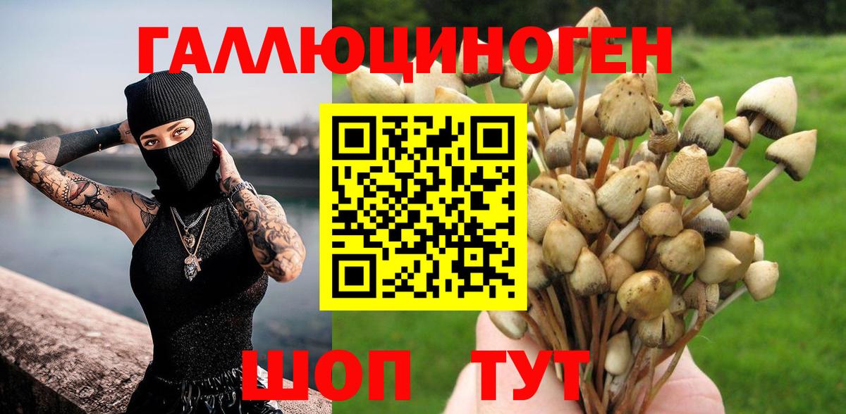 Псилоцибиновые грибы Cubensis  Псилоцибиновые грибы MAGIC MUSHROOMS  Вход с VPN  Саяногорск 